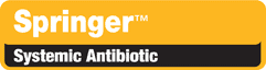 Springer Antibiotic